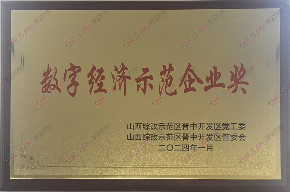 数字经济示范企业奖